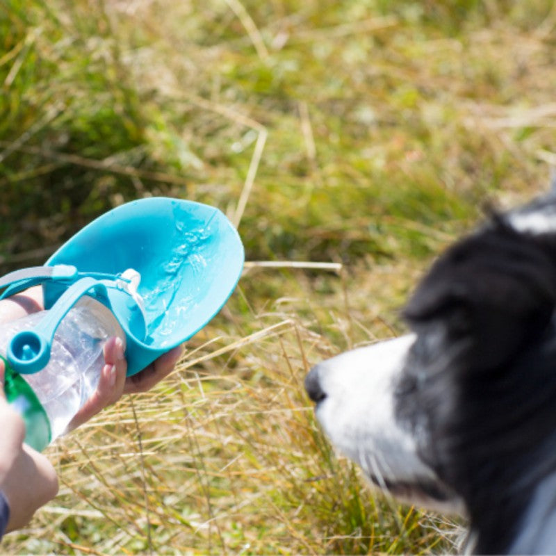 Portable Sport Pet Dog Water Bottle